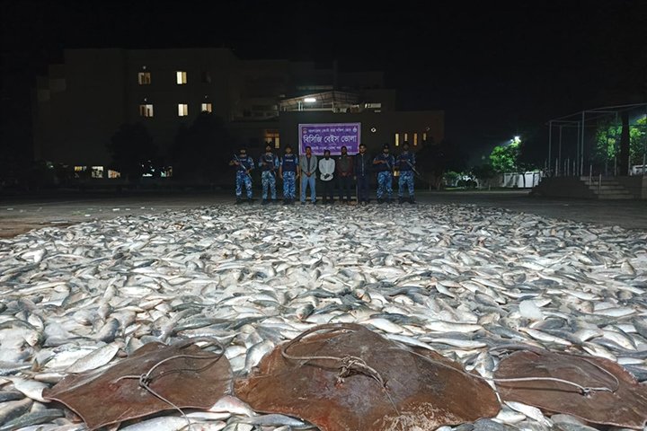 ভোলায় কোষ্টগার্ডের অভিযানে ৫২০ মন জাটকা আটক