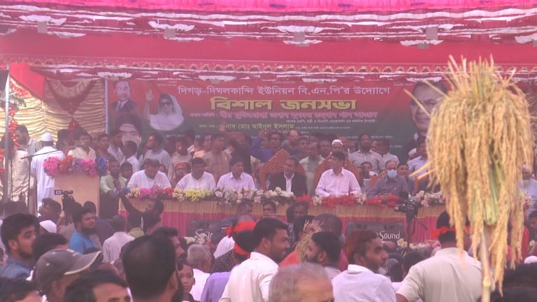 টাঙ্গাইলে বিএনপির জনসভা