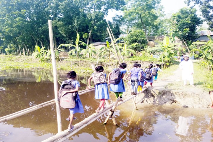 ঝুঁকিপূর্ণ বাঁশের সাঁকো দিয়ে শিক্ষার্থীদের পারাপার