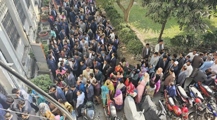 Untitled-1-20241222074204