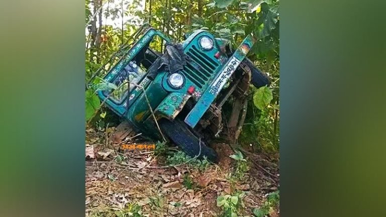 জিপ উল্টে আহত ১০ পর্যটক