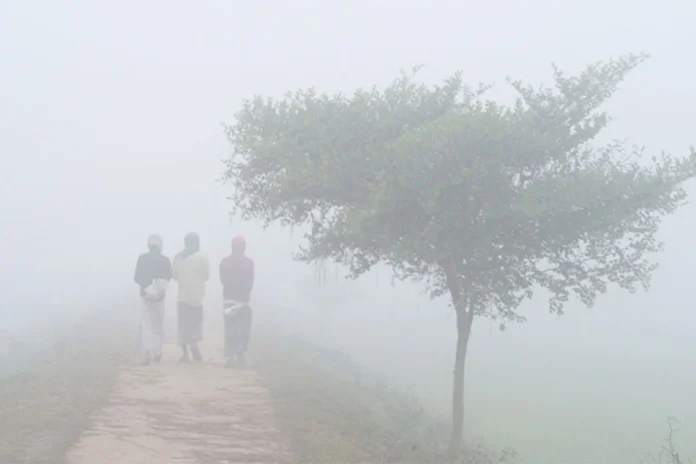 1736488393-b1f9a896953354339492875d4b3bc12d