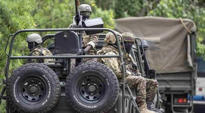 AFRICA-20250109072219