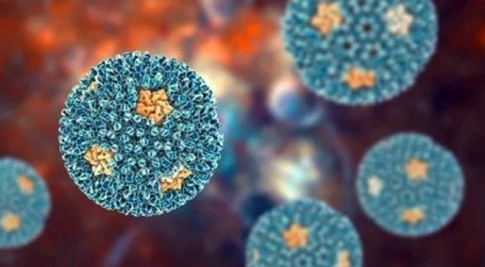 Untitled-1-20250110064451