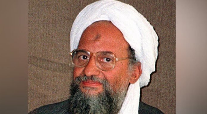 AL-KAYEDA-20250217060004