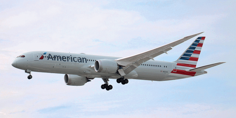 নিউইয়র্ক-দিল্লি ফ্লাইটে ‘বোমা হামলার হুমকি’, রোমে জরুরি অবতরণ