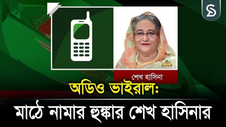 যার যা আছে তা নিয়ে মাঠে নামার হুঙ্কার শেখ হাসিনার