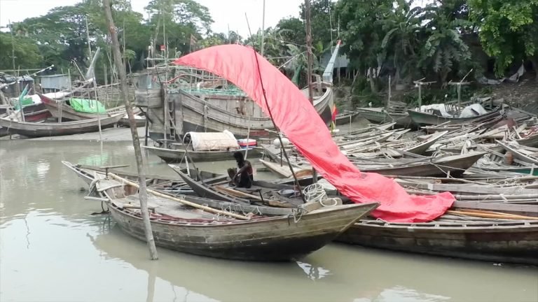 ইলিশের অভয়াশ্রমগুলোতে মাছ আহরণে নিষেধাজ্ঞা শেষ হচ্ছে আজ