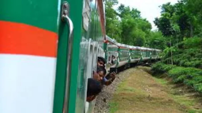 চলন্ত ট্রেনের ছাদে টিকটক, ছিটকে পড়ে দুজনের মৃত্যু