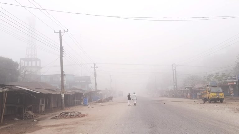 পঞ্চগড়ে হঠাৎ কুয়াশার মোড়ানো সকাল, দিনে গরম, রাতে শীতল আবহাওয়া