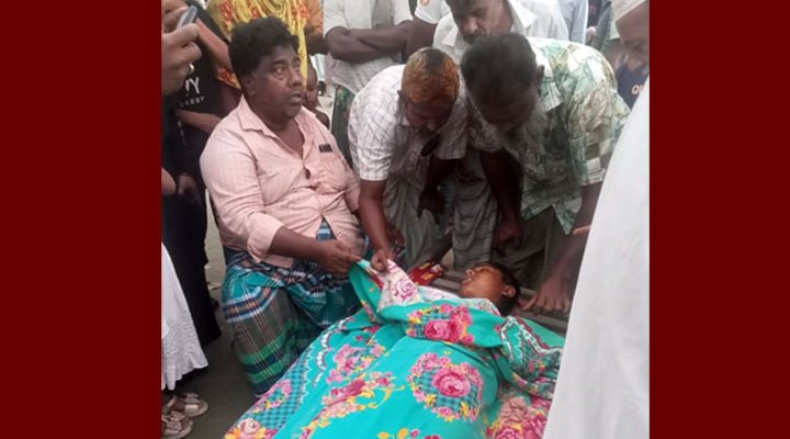 পুকুরে মাছ ধরার জন্য গাছের ডাল ফেলতে গিয়ে বজ্রপাতে কিশোরের মৃত্যু, আহত ৩