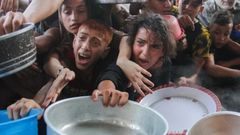 চরম খাদ্য সংকটে গাজা, আরও ৬৪ জনের মৃত্যু