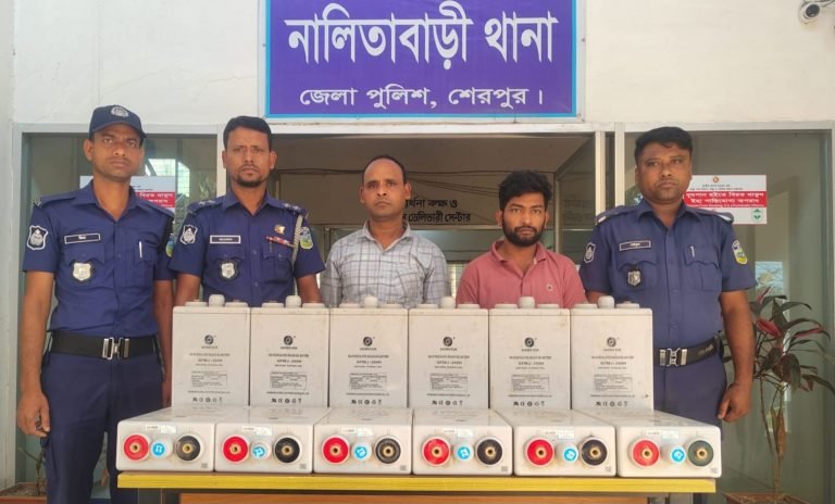 শেরপুরে বিটিসিএল অফিসের চুরি হওয়া ব্যাটারিসহ গ্রেপ্তার দুই