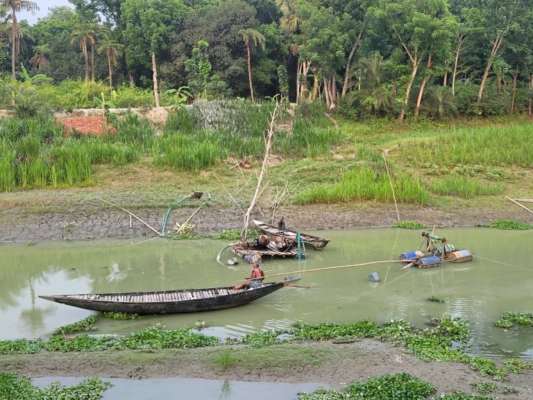 ইছামতি নদী থেকে অবৈধভাবে বালু তুলে চলছে সড়ক ও ব্যক্তিগত জায়গা ভরাট