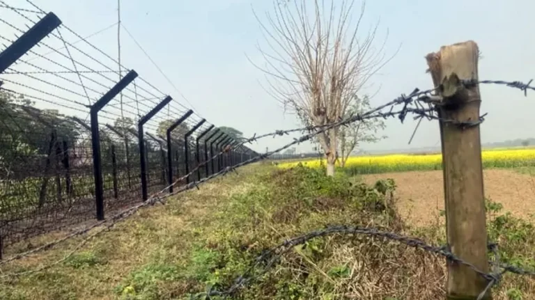 ঝিনাইদহ সীমান্তে বিএসএফের গুলিতে ২ বাংলাদেশি নিহত