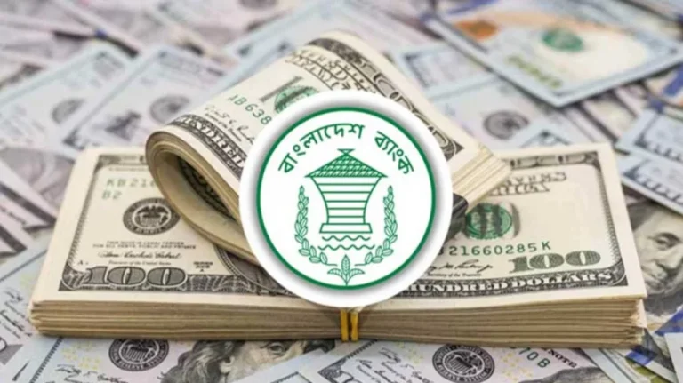 ইতিহাসের সব রেকর্ড ভাঙল রেমিট্যান্স প্রবাহ