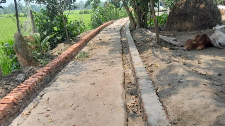 সিরাজগঞ্জের বেলকুচিতে চাঁদা না দেওয়ায় সরকারি রাস্তার নিমার্ণ কাজে বাঁধা