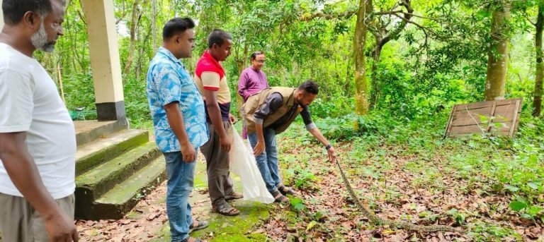 শেরপুরে ফের অজগর উদ্ধার, পরে বনে অবমুক্ত