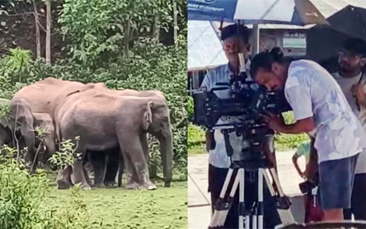 শেরপুরের গারো পাহাড়ে সিনেমার শুটিং, হাতি চলাচলে বিঘ্ন