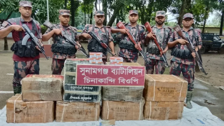 রাজাপাড়া সীমান্ত থেকে ভারতীয় ঔষধ ও কসমেটিক্স জব্দ