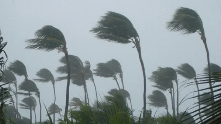 দুপুরের মধ্যে ৬০ কিলোমিটার বেগে ঝড়ো হাওয়াসহ বৃষ্টির আভাস