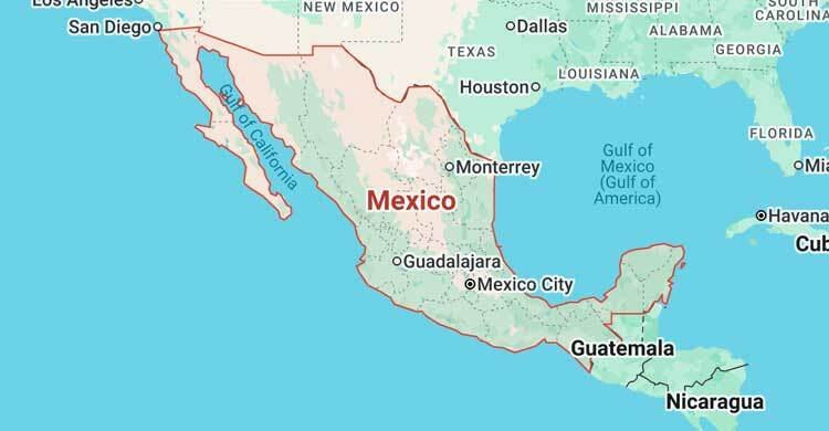 মেক্সিকোতে মেয়রকে গুলি করে হত্যা