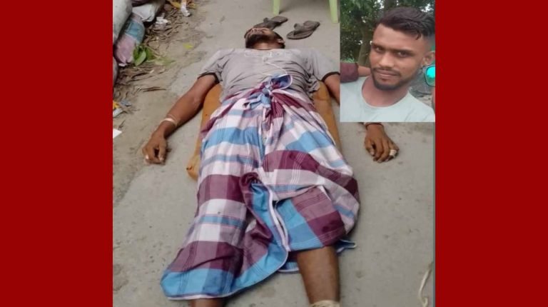 সোনারগাঁয়ে বিষধর সাপের কামড়ে যুবকের মৃত্যু