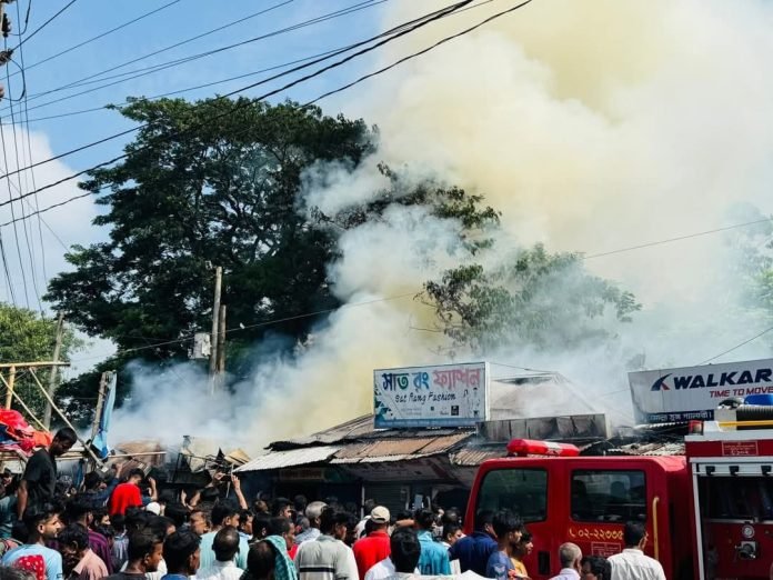 WhatsApp Image 2025-06-11 at 11.33.17_f567a327