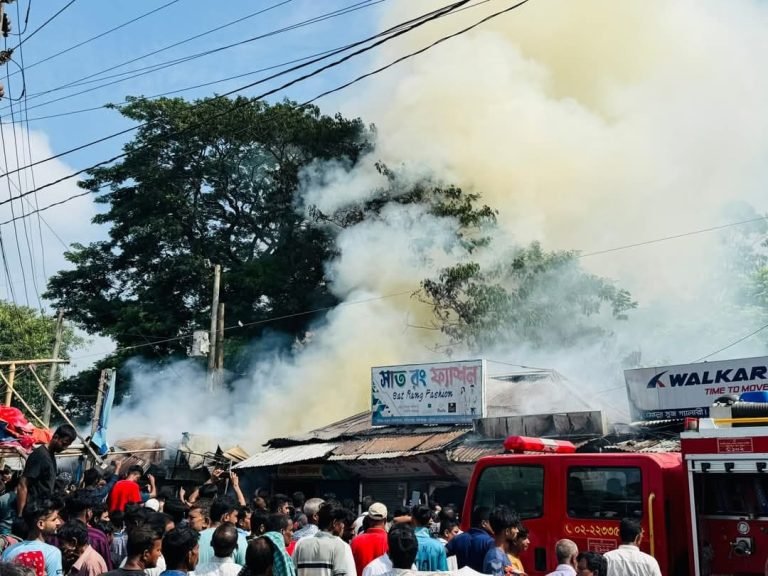 হরিরামপুরের ঝিটকা বাজারে ভয়াবহ অগ্নিকান্ডে দোকান পুরে ছাই, ক্ষয়ক্ষতি কোটি টাকা