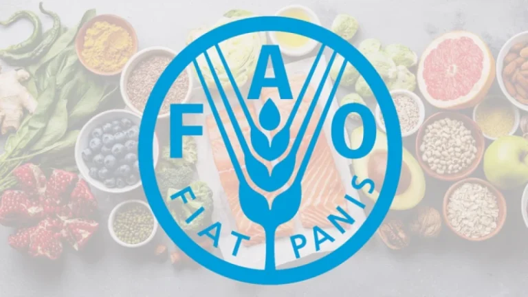 বিশ্বজুড়ে খাদ্যের দাম কমেছে, এফএও’র তথ্য