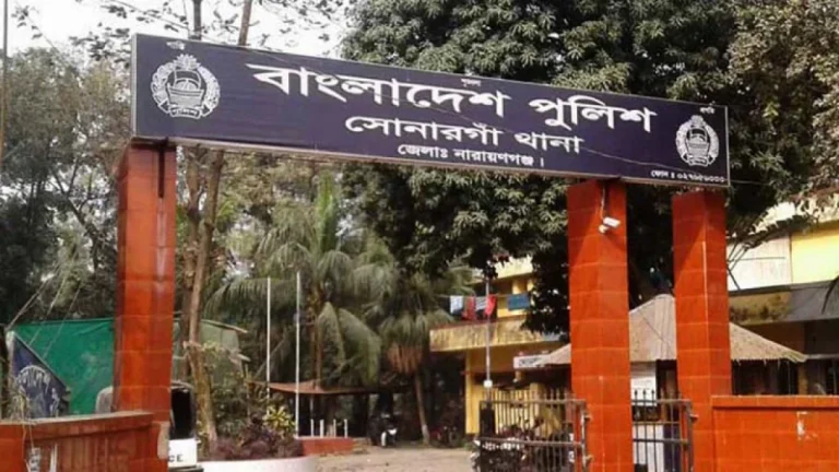 সোনারগাঁয়ে প্রবাসীর স্ত্রীর আত্মহত্যা