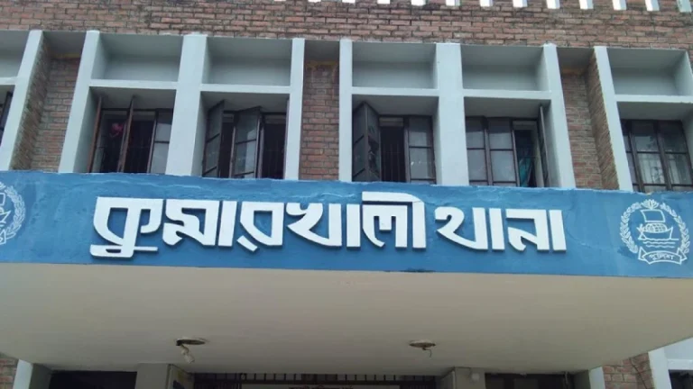 শিয়ালের সঙ্গে ধাক্কা, সিএনজি অটোরিকশা উল্টে নারীর মৃত্যু