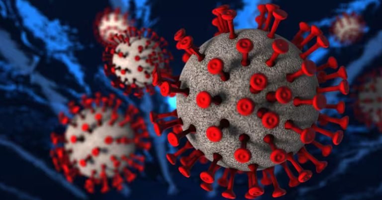 করোনায় আরও এক মৃত্যু, শনাক্ত ৬