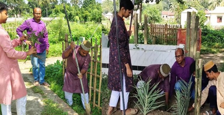 শেরপুরে কবরস্থানে শতাধিক খেজুর গাছের চারা রোপন