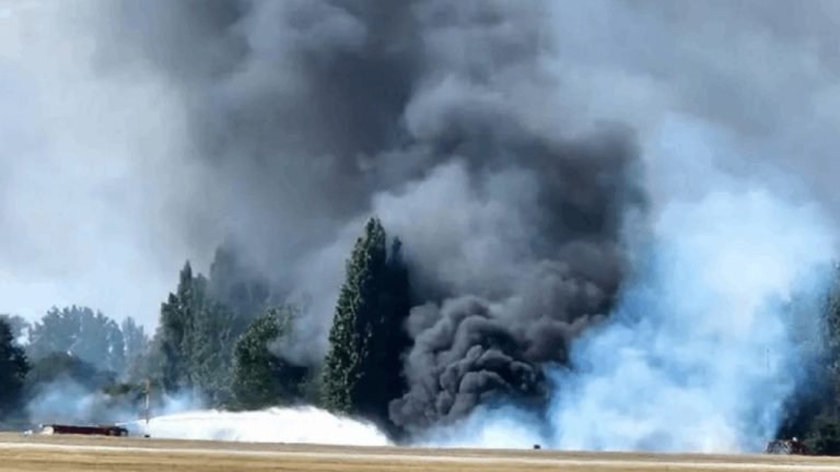 লন্ডনের সাউথেন্ড বিমানবন্দরে উড়োজাহাজ বিধ্বস্ত