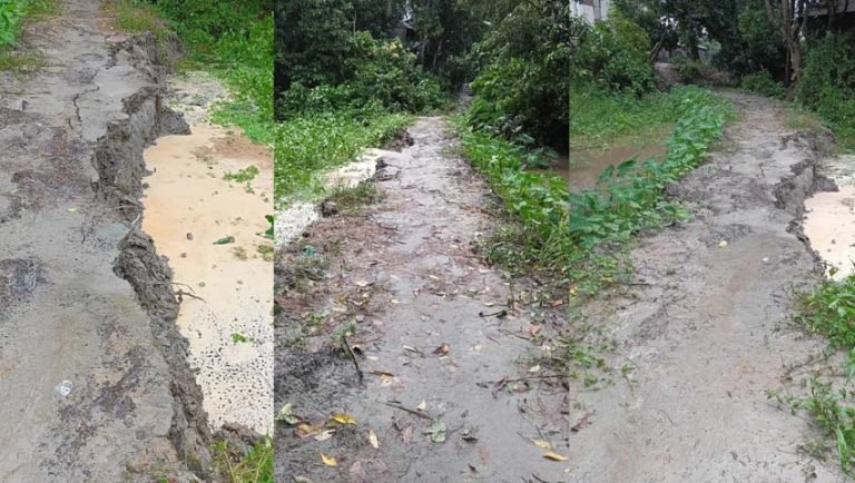 টঙ্গীবাড়ীতে টানা বৃষ্টির কারণে রাস্তা ভাঙন