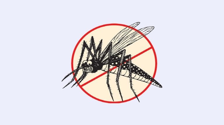 ডেঙ্গুতে আরও ২ জনের মৃত্যু, ২৪ ঘণ্টায় হাসপাতালে ৩৮৬