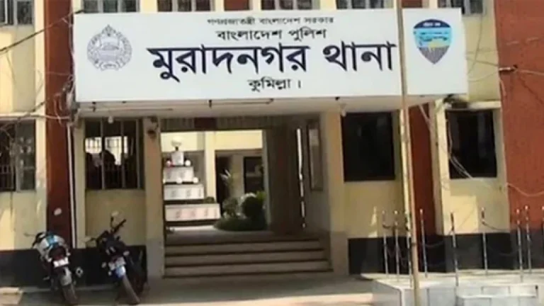 মুরাদনগরে মা, ছেলে ও মেয়েকে প্রকাশ্যে পিটিয়ে হত্যার ২ দিন পর মামলা