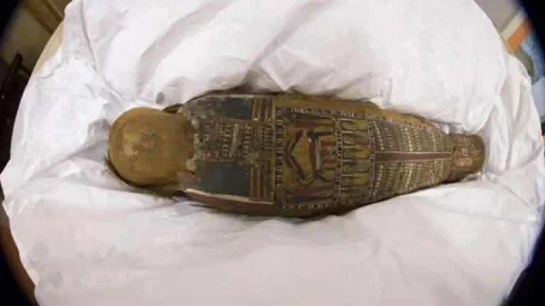 মিসরকে ২ হাজার বছর পুরোনো কফিন ফেরত দিল বেলজিয়াম