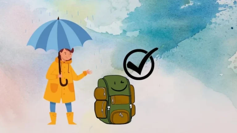 বৃষ্টির দিনে ব্যাগে যা রাখা জরুরি