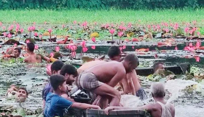 কাপাসিয়ায় শাপলা বিলে পাঁচ বন্ধু, পানিতে ডুবে দুইজনের মৃত্যু