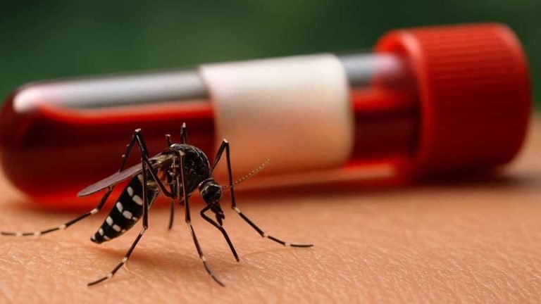 ডেঙ্গু আক্রান্ত বাড়ছে তিন গুণ হারে, টানা বৃষ্টি বাড়াচ্ছে শঙ্কা