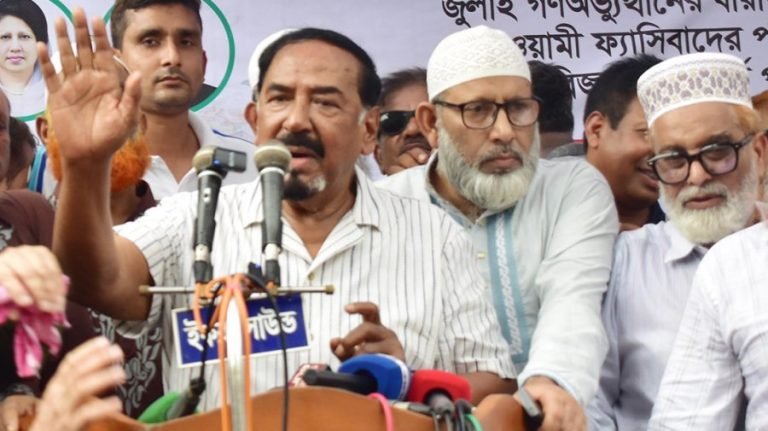 দু-একটি রাজনৈতিক দল চেয়েছিল এভাবেই দিন কাটিয়ে দেবে: হাফিজ