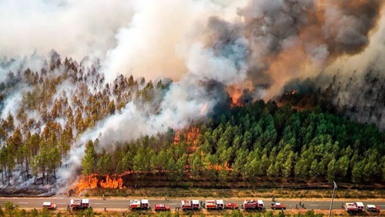 ফ্রান্সে ভয়াবহ দাবানল, পুড়ে গেছে ৪২ হাজার একর এলাকা