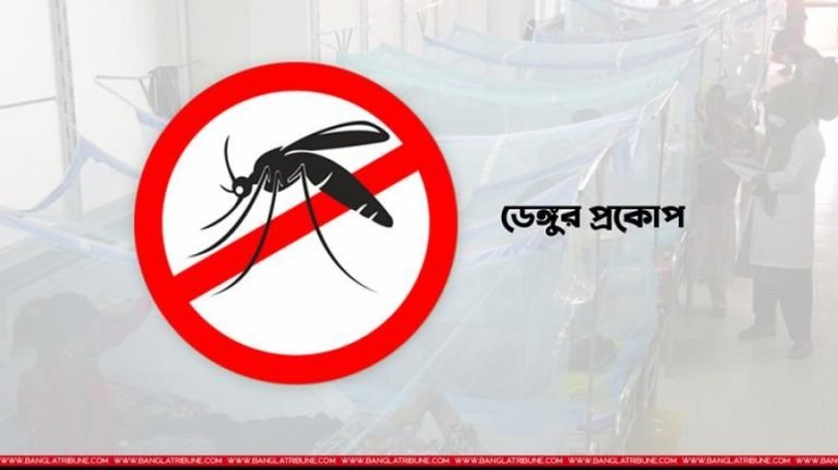 ডেঙ্গুতে আরও ৩ জনের মৃত্যু