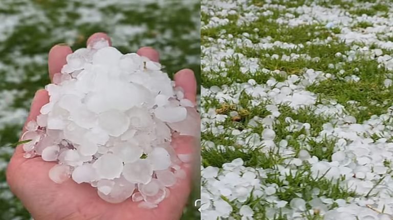 সৌদি আরবে নজিরবিহীন শিলাবৃষ্টি ও ভারী বৃষ্টিপাত, ভিডিও ভাইরাল