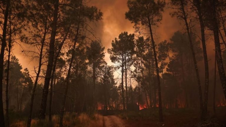 ঝড়ো বাতাস ও দাবদাহে ছড়িয়ে পড়ছে আগুন, পুড়ছে ইউরোপ