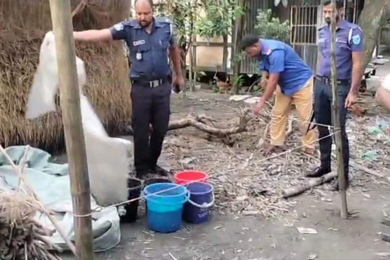 শরীয়তপুরে পরিত্যক্ত ঘরে মিলল ৩৫টি হাতবোমা