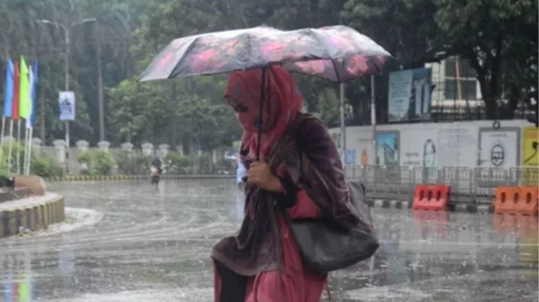 ঢাকায় হালকা বৃষ্টি হতে পারে, দিনের তাপমাত্রাও অপরিবর্তিত থাকার সম্ভাবনা