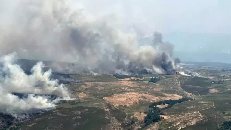 দাবানলে বিপর্যস্ত দক্ষিণ ইউরোপ: বাড়ছে হতাহত, ঘরছাড়া হাজারো মানুষ